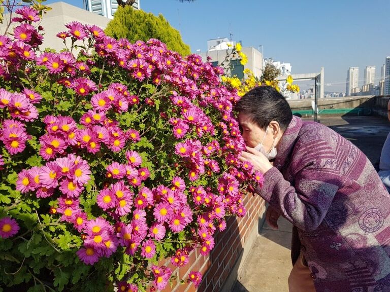 나들이 사진입니다^^