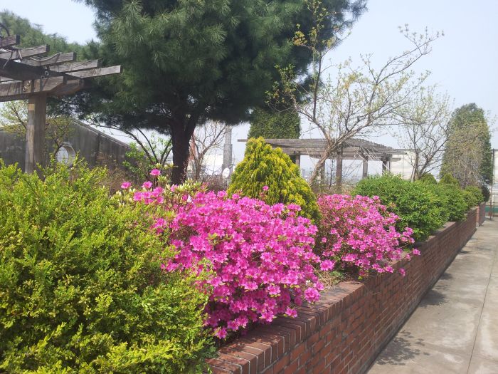 옥상 정원 ^^