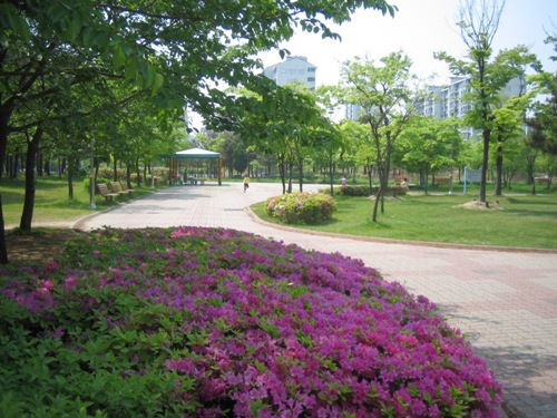 요양원 바로 옆 둔배미공원 전경