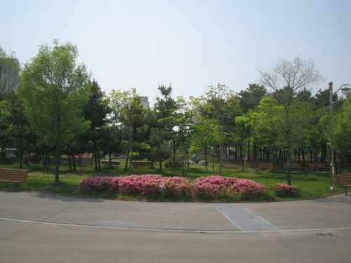 요양원 바로 옆 둔배미공원 전경